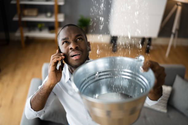 Best Ceiling water damage repair  in North Kingsville, OH