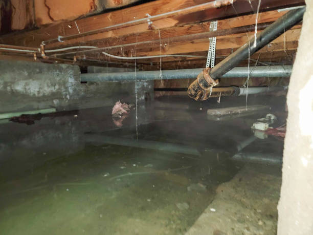 Best 24/7 water damage repair  in North Kingsville, OH