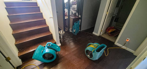 Best 24-hour water damage restoration  in North Kingsville, OH
