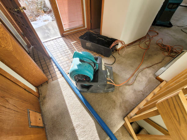 Best Flood damage cleanup  in North Kingsville, OH