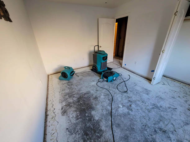 Best Water damage restoration services  in North Kingsville, OH