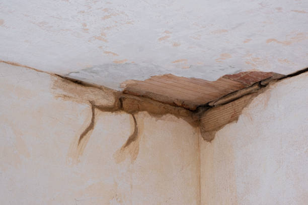 Best Emergency water damage restoration  in North Kingsville, OH