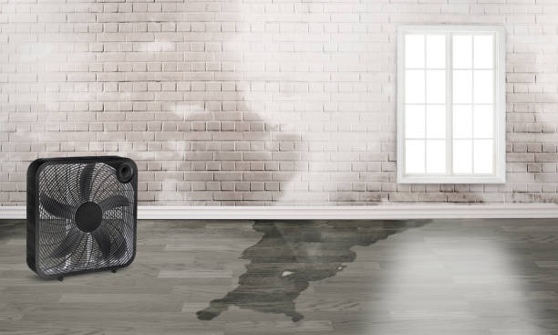 Professional Water damage restoration in North Kingsville, OH