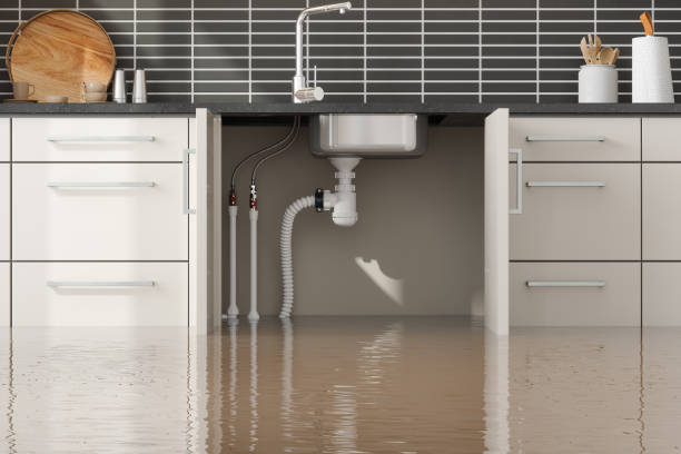 Best Water damage cleanup near me  in North Kingsville, OH