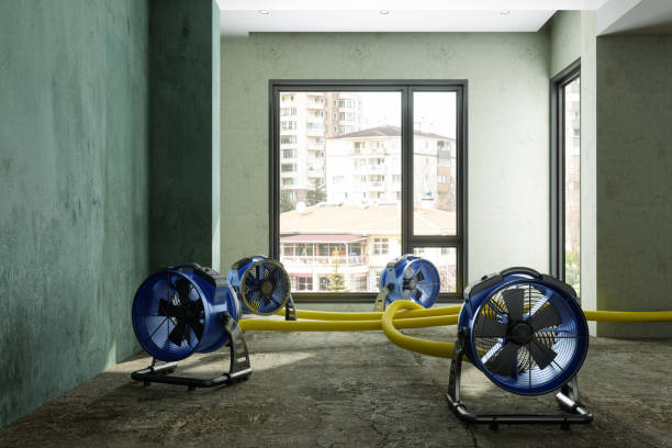 Best Residential water damage restoration  in North Kingsville, OH